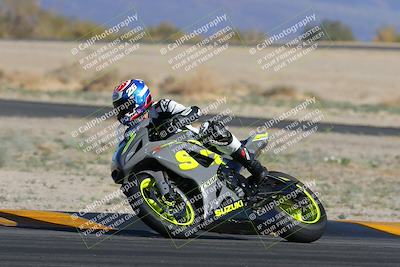 media/Feb-04-2023-SoCal Trackdays (Sat) [[8a776bf2c3]]/Turn 4 (Tree of Life 2pm)/